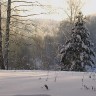 Тогучинский район НСО2044