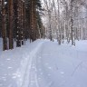 Тогучинский район НСО2040