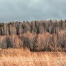 _mg_6901