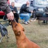 img_0160
