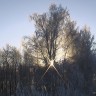 Тогучинский район НСО2046