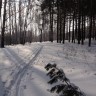 Тогучинский район НСО2041