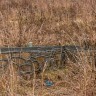 _mg_6874