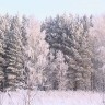 Тогучинский район НСО2045