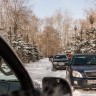 img_8881