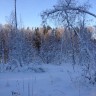 Тогучинский район НСО2034