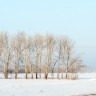 img_7126