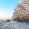 img_7117