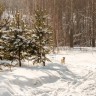 img_8930