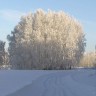 Тогучинский район НСО2042
